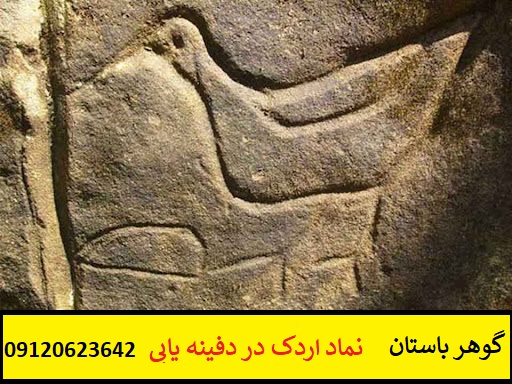 نماد اردک در دفینه یابی